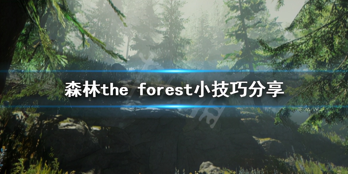 森林the forest小技巧（森林游戏玩法攻略）插图