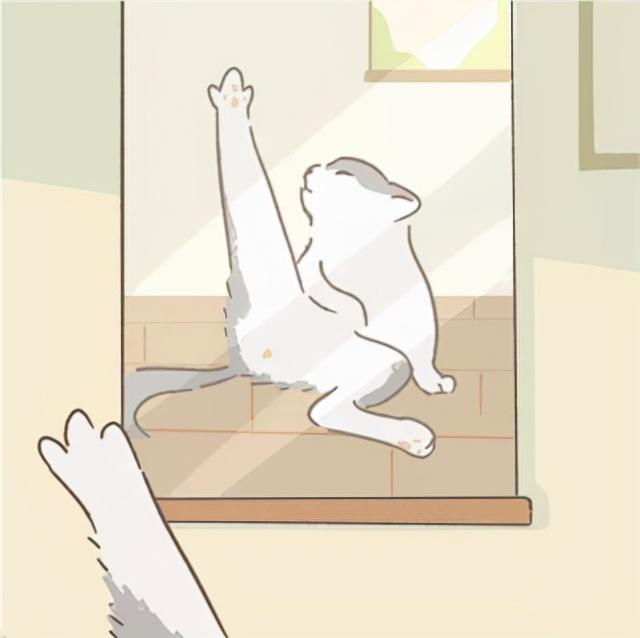 遇见你的猫游戏攻略（养成类休闲游戏推荐）插图4