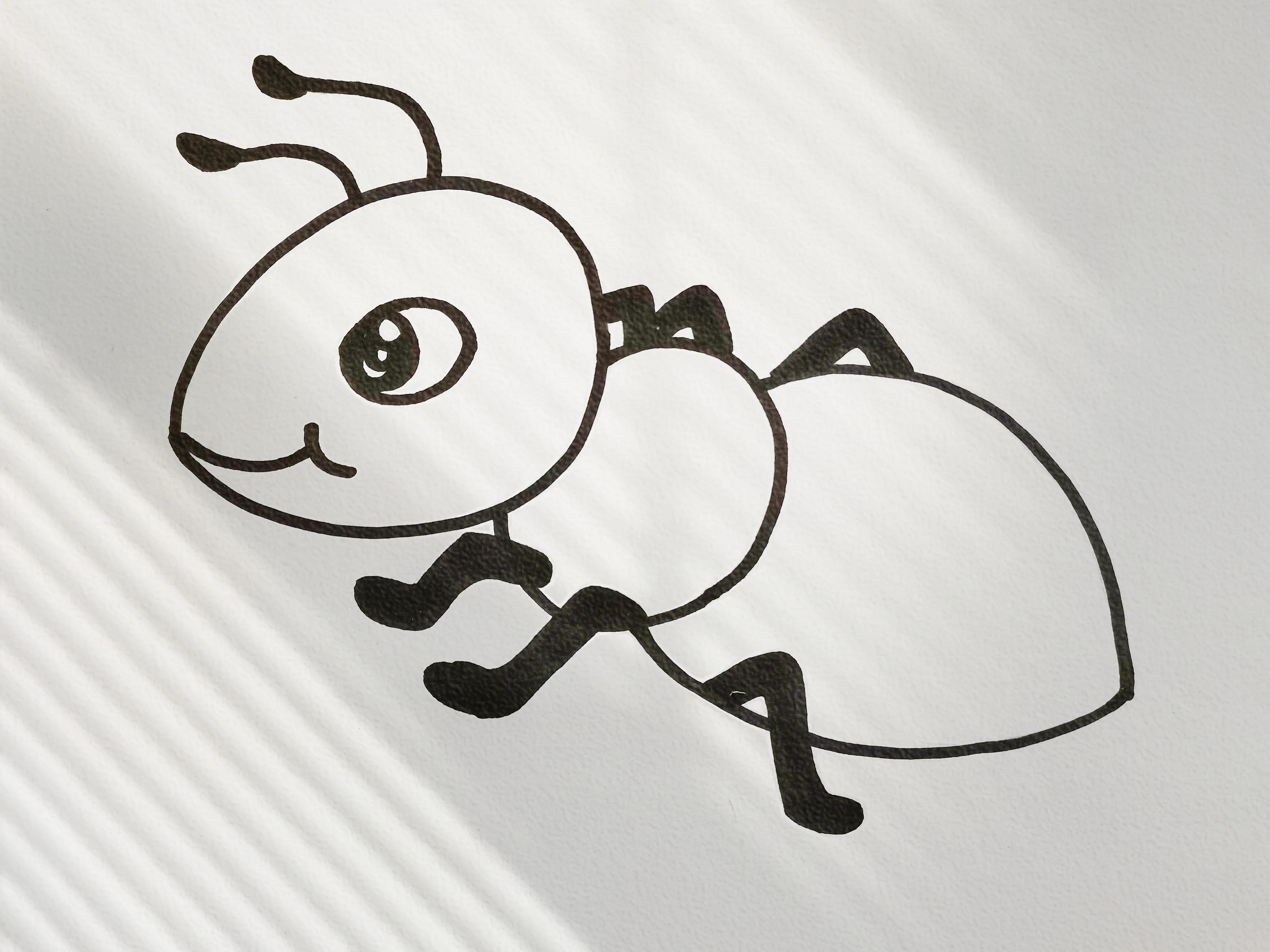 蚂蚁怎么画（蚂蚁简笔画一步一步画法）插图4
