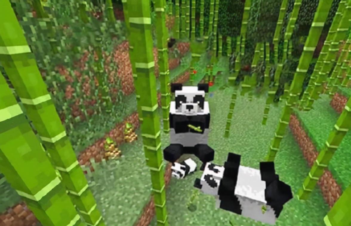 我的世界熊猫喜欢吃什么（我的世界熊猫能干嘛）插图8