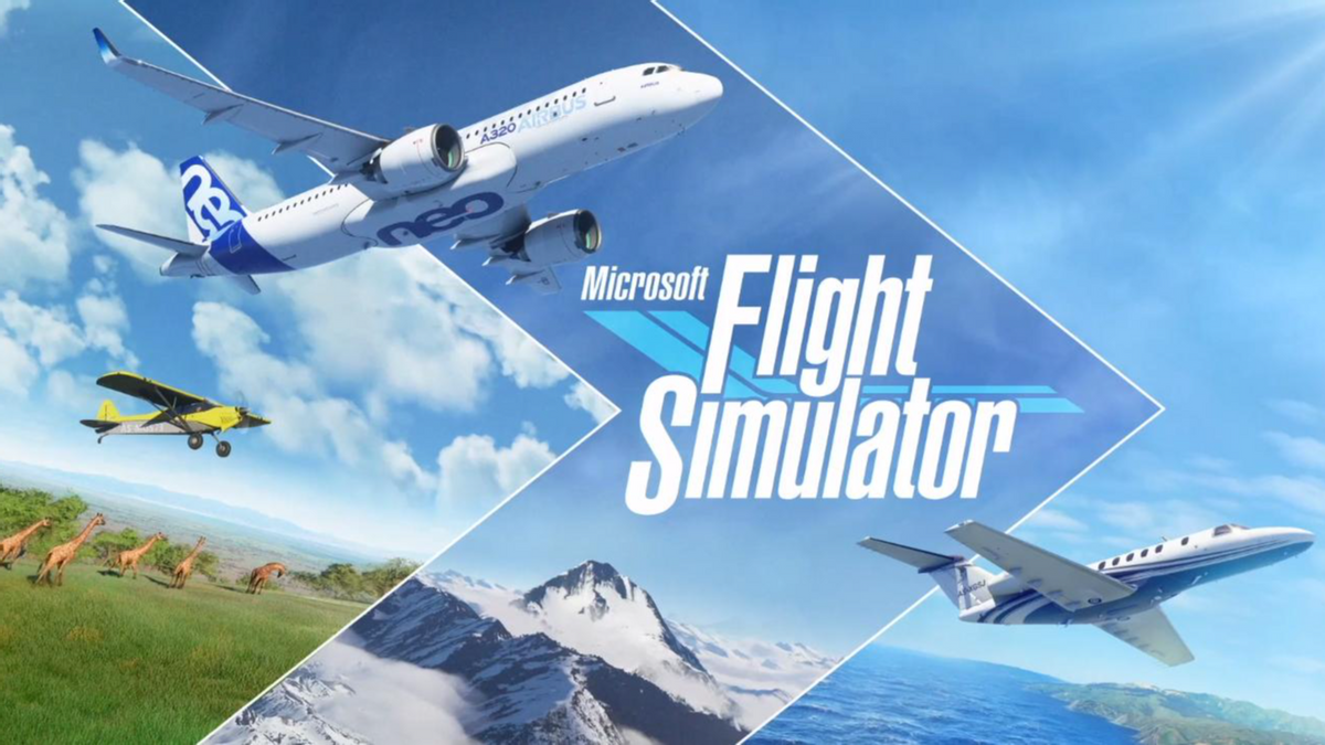 模拟飞行的游戏推荐（2022飞机模拟游戏前十）插图